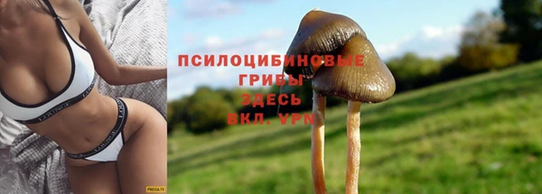 прущая мука Абинск
