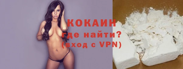 крисы Абаза