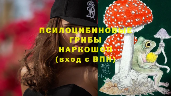 мяу мяу мука Абдулино