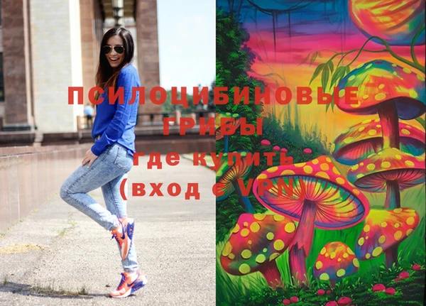 крисы Абаза