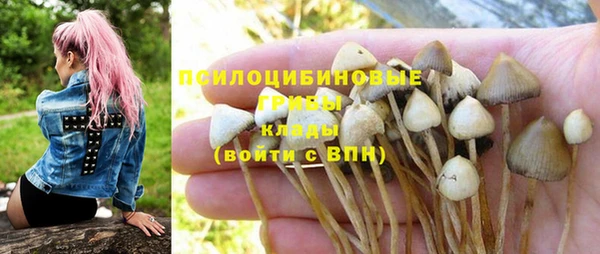 крисы Абаза